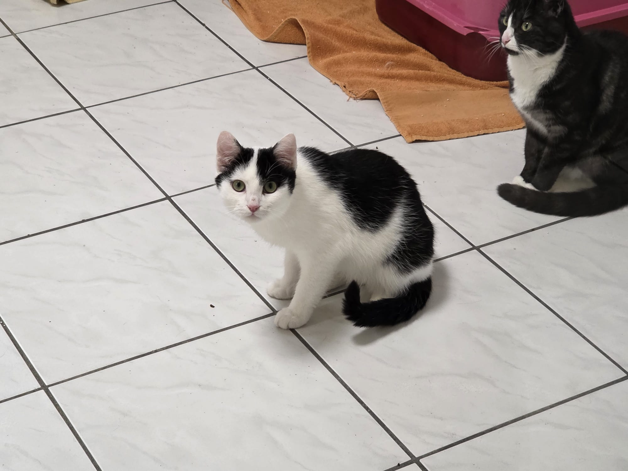 WhatsApp Image 2025-11-05 at 16.01.47.jpeg